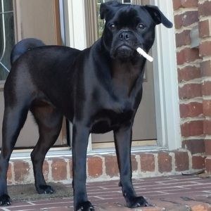 Meet your Posher, Taylor